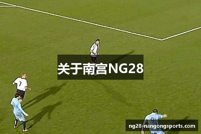 关于南宫NG28